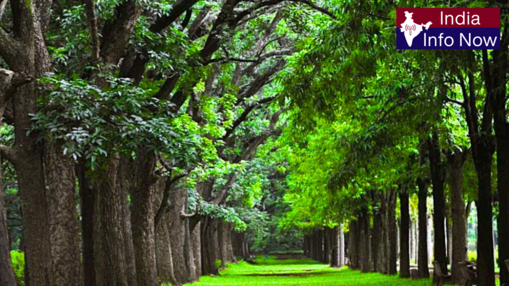 #india info now #Top 10 Tourist Places in Bangalore 2026