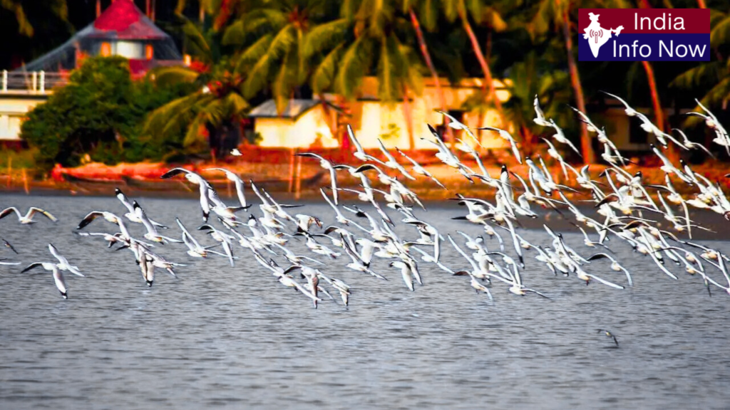 #india info now #Top 10 Tourist Places in Calicut 2026