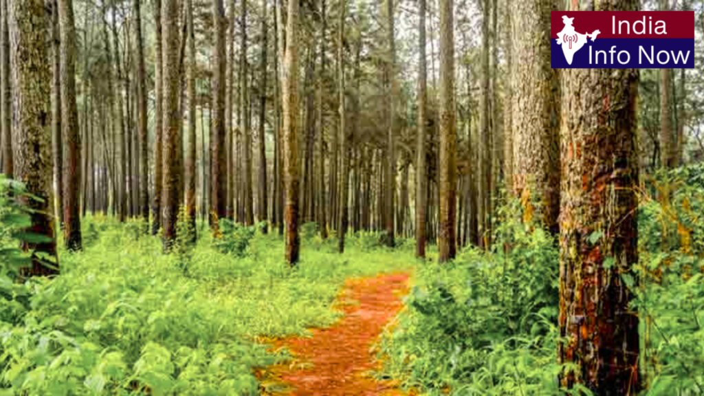 #india info now #Top 10 Tourist Places in Kodaikanal 2026