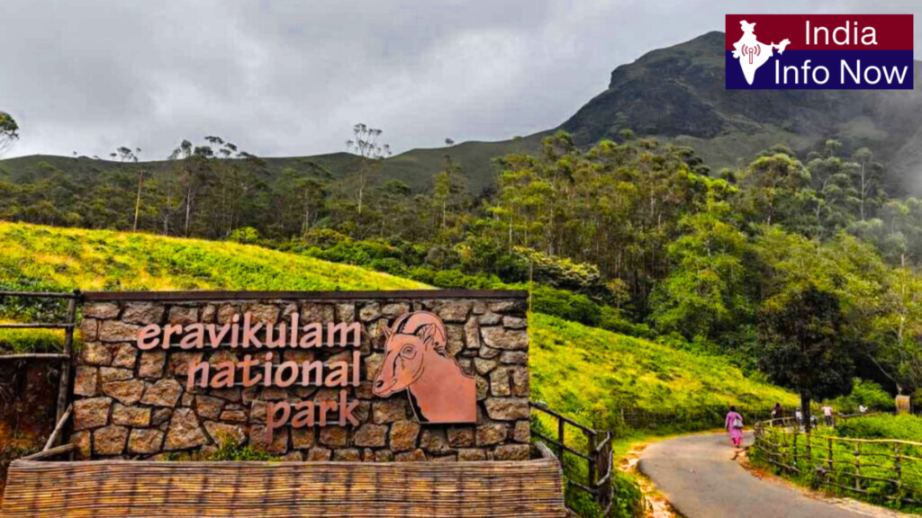 #india info now #Top 10 Tourist Places in Munnar