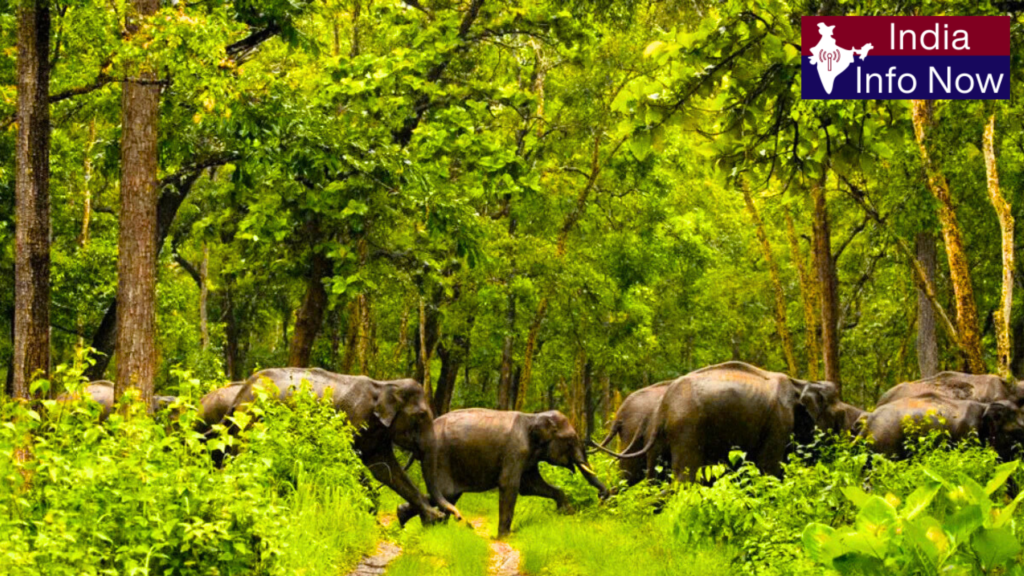 #india info now #Top 10 Tourist Places in Munnar