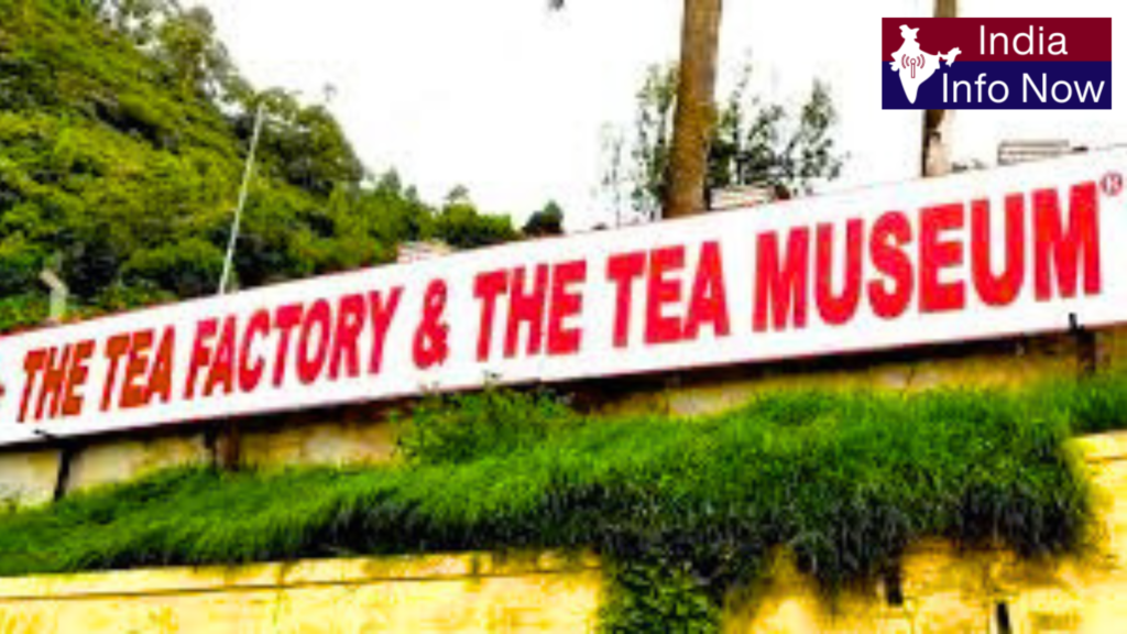 #india info now #Top 10 tourist places in Ooty 2026