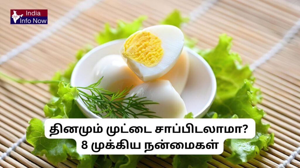 #indiainfonow #தினமும் முட்டை சாப்பிடலாமா 8 முக்கிய நன்மைகள்