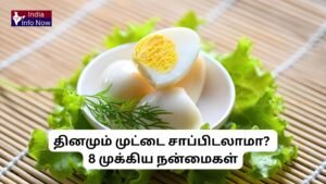 #indiainfonow #தினமும் முட்டை சாப்பிடலாமா 8 முக்கிய நன்மைகள்