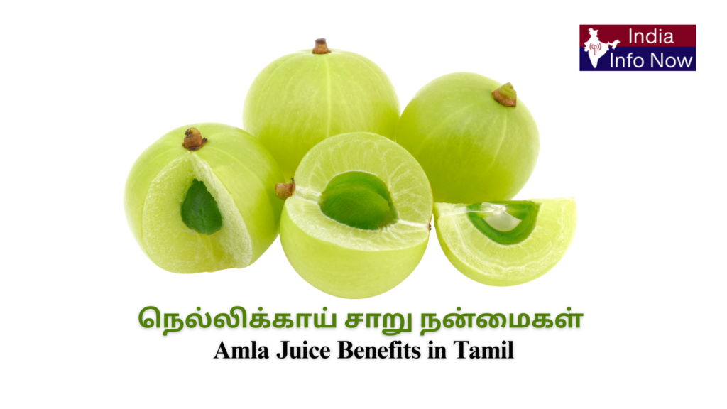 #indiainfonow #நெல்லிக்காய் சாறு நன்மைகள் Amla Juice Benefits in Tamil